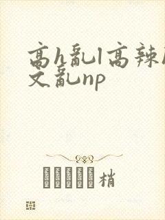 高h乱l高辣h文乱np
