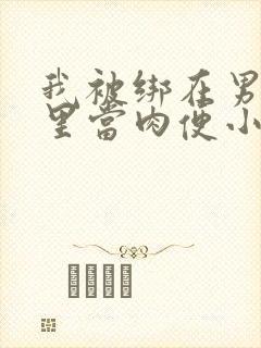 我被绑在男公厕里当肉便小说