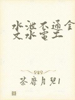 水泄不通金银原文水电工