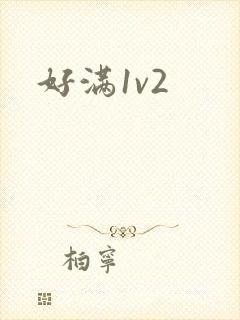 好满1v2