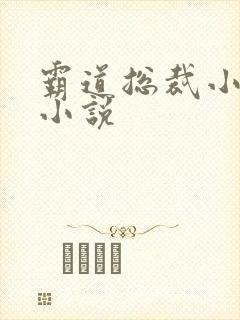 霸道总裁小娇妻小说