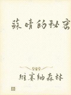 苏晴的秘密小说