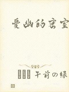 爱幽的密室小说