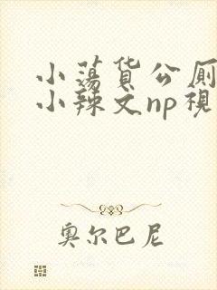 小荡货公厕h文小辣文np视频