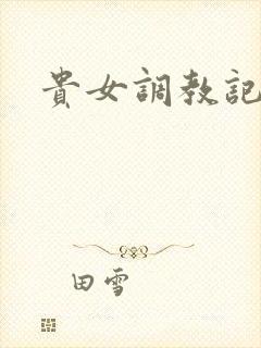贵女调教记