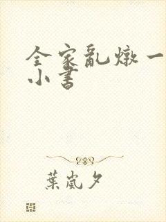 全家乱炖一锅烩小书