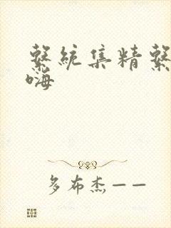 系统集精系统高嗨