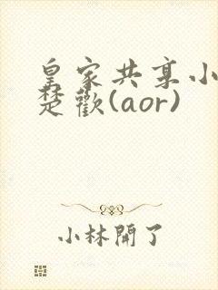 皇家共享小公主楚欢(aor)