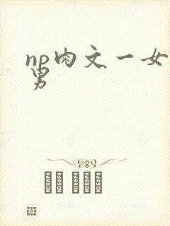 np肉文一女多男