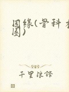 因缘(骨科 校园)