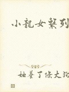 小龙女系列小说