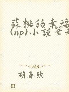 苏桃的幸福生活(np)小说笔趣阁沐沐