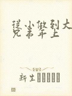 从小做到大骨科兄弟年上