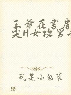 王爷在书房含乳尖H女攻男受