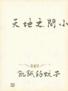 天地之间小说