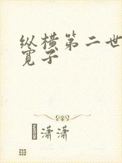 纵横第二世界 宽子