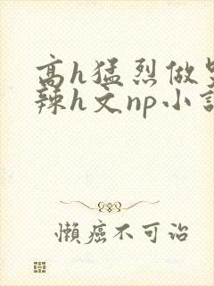 高h猛烈做哭高辣h文np小说