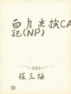 白月光挨CAO记(NP)