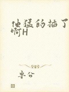 他猛的插了进去啊H