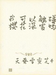 我可以触碰你的樱花深处吗