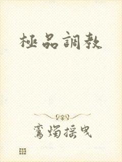 极品调教