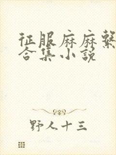 征服麻麻系列大合集小说