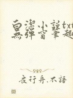 白洁小说txt无弹窗笔趣阁