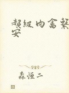 超级肉禽系统保安