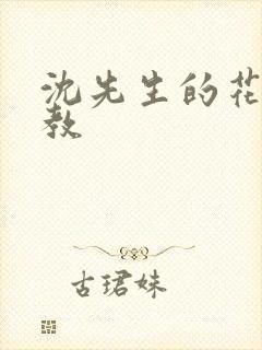 沈先生的花式调教