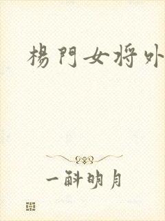 杨门女将外传