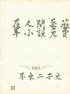 在人间采薇陆三平小说免费阅读