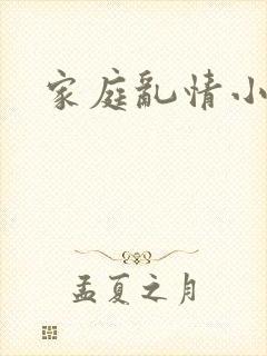 家庭乱情小说