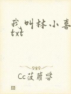 我叫林小喜小说txt