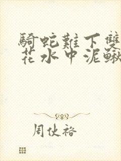 骑蛇难下双金银花水中泥鳅双男主