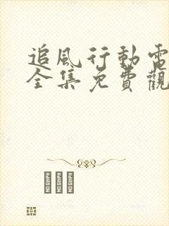 追风行动电视剧全集免费观看