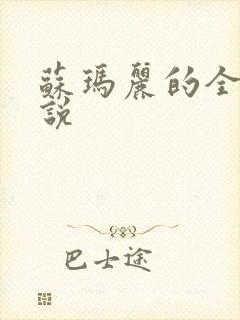 苏玛丽的全部小说