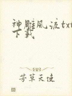 神雕风流txt下载