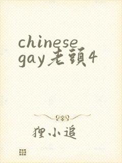 chinesegay老头4