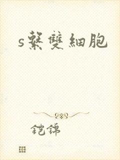 s系双细胞