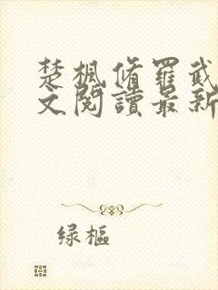 楚枫修罗武神全文阅读最新