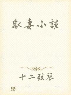 献妻小说