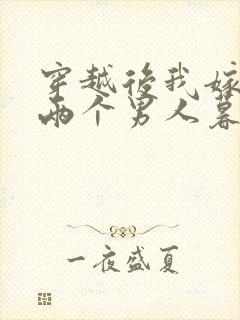 穿越后我嫁给了两个男人暮色酒歌