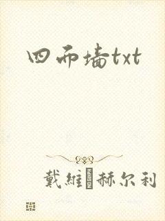 四面墙txt
