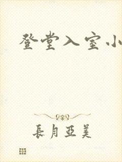 登堂入室小说