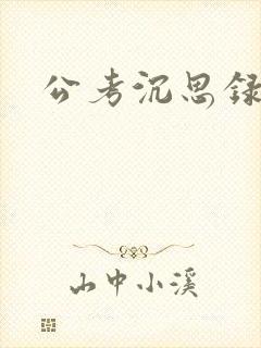 公考沉思录