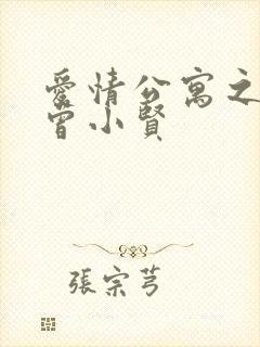 爱情公寓之极品曾小贤