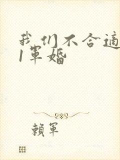 我们不合适1v1军婚