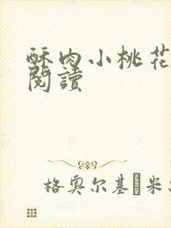 酥肉小桃花全文阅读