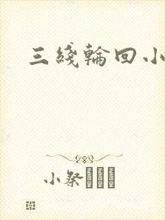 三线轮回小说