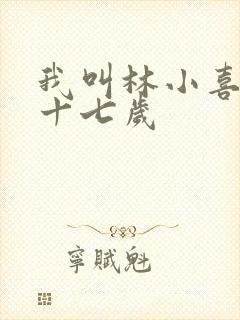 我叫林小喜今年十七岁